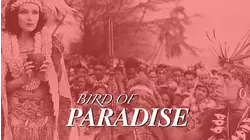 Bird of Paradise