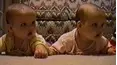 Life's Funniest Moments