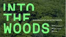Into the Woods - Sharing a Future With Forests