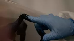 Piper Streyle/Larisa Dumansky