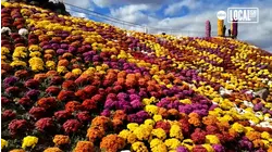 Wander through a floral wonderland at Ott's Exotic Plants