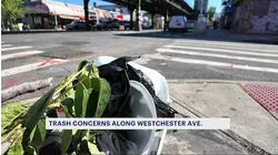 Street litter irks residents along Westchester Avenue