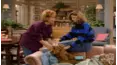 ALF