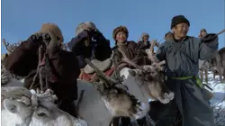 Reindeer Chase