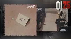 You Are A Human Being?