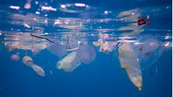 How do microplastics get into our bodies?