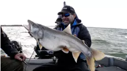 Shallow Water Structure for Montana Lake Trout