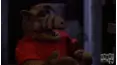 ALF