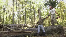 Yahoo of Nicholas County