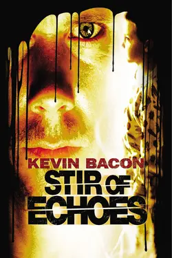 Stir Of Echoes