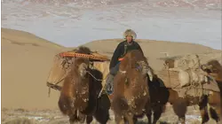Gobi Desert