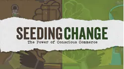 Seeding Change