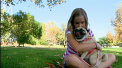 Primetime Pets | Ep. 2.5