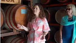 Wicklow to Gran Canaria