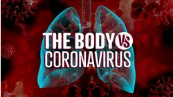 The Body vs. Coronavirus