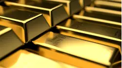 Gold hits new record high