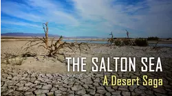 The Salton Sea: A Desert Saga