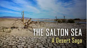 The Salton Sea: A Desert Saga