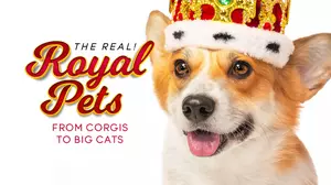 The Real! Royal Pets: From Corgis to Big Cats