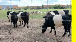 Henry Family farm in Cranbury saved from eminent domain