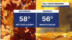 Heading into the weekend with sunny and cool temperatures for The Bronx