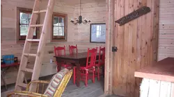 Junky Bunkie