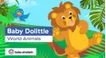 Baby Einstein Classics