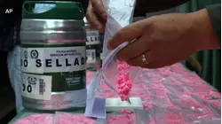 Restrictions on psychedelic drugs loosened for research purposes