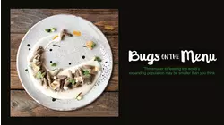 Bugs on the Menu
