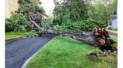 Strong storms slam Hudson Valley with heavy rain, wind, and hail