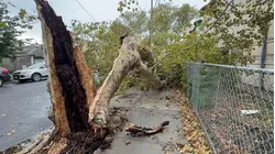 LIVE UPDATES: Con Ed restores 21,000+ outages; NYC seeks storm damage reports