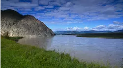 Wadehampton, Alaska featuring Nick Colionne,Euge Groove, Jeff Golub
