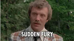 Sudden Fury