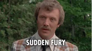 Sudden Fury