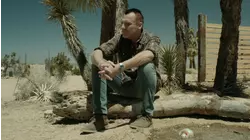 Calico Skies