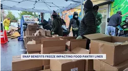 Food pantry lines last hours as cuts to SNAP benefits sink in