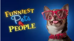 Funniest Pets & People
