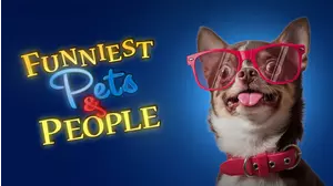 Funniest Pets & People