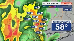 STORM WATCH: Rounds of rain, gusty winds to make for messy travel today
