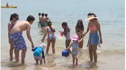 From A+ to F. What Westchester beaches have great water quality and which ones don't?