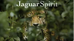 Jaguar Spirit