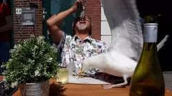 Ep. 4.3