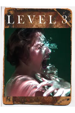 Level 3