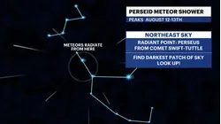 Look up! Double sky show features eclipse and Perseids meteor shower