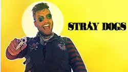 Stray Dogs