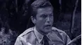 The Dick Van Dyke Show