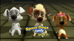 Season 1, Episodes 47-52