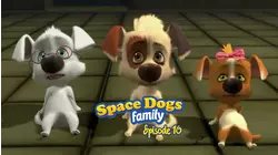 Season 1, Episodes 47-52