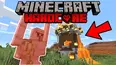 Minecraft Hardcore Survival