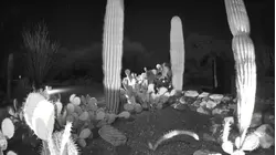 Revelan un nuevo video de seguridad vinculado al caso Guthrie descubierto por los investigadores